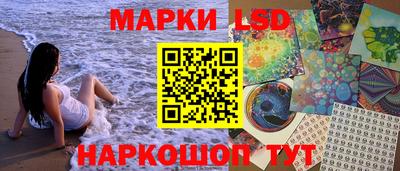 гидропоника Пугачёв