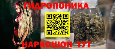 гидропоника Пугачёв