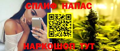 гидропоника Пугачёв